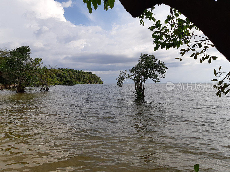 亚马逊地区- TAPAJOS - PARA